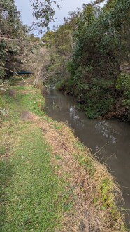 Note photo taken 2 days after monitoring