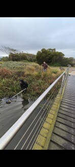 Sampling Site 3