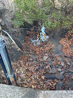 Shallow pool at site, just upstream from crossing