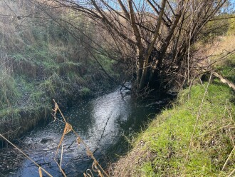 With rainfall, stream is flowwing