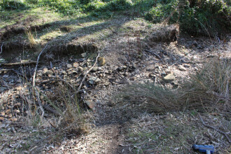 Site