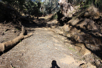 Dry pool down steam