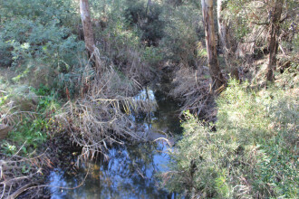 Upstream