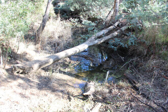 Down stream