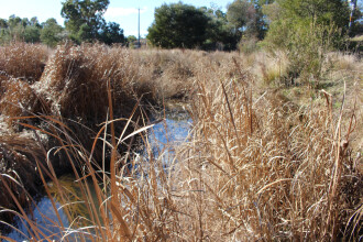 Upstream