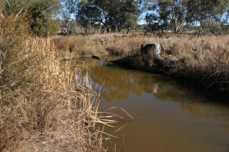 Down stream