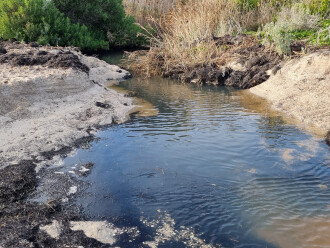 Griggs Creek