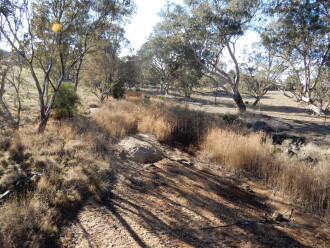 taken on 1/07/2025 looking upstream showing dry surroundings