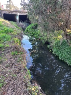 Stony Creek, Cruickshank Park, Yarraville, upstream