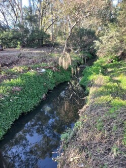 Stony Creek, Cruickshank Park, Yarraville, downstream