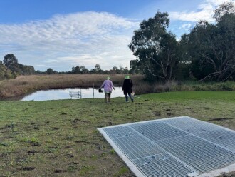 new outlet to the wetlands