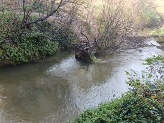 view downstream under bridge