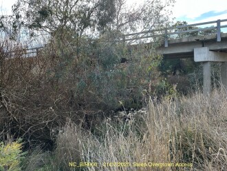 NC_BIR950.  Steep Overgrown