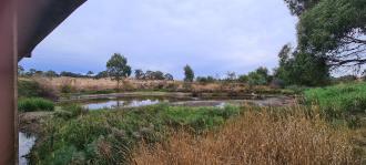 Pooling on the Kyneton side of the bridge