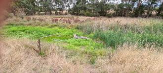 Riverbed is completely dry