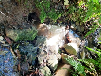 Foaming water at creek