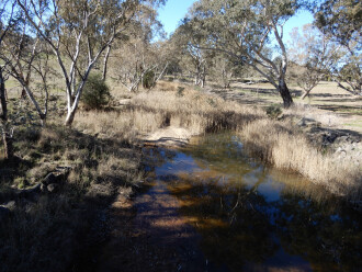 Taken on 2/08/2025 looking upstream, showing no water flow