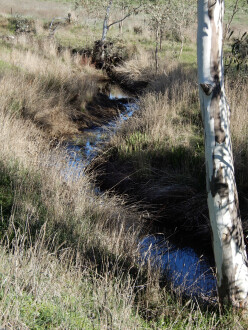 taken on 2/08/2025 showing water in the channel 500m north of Stewarts Lane
