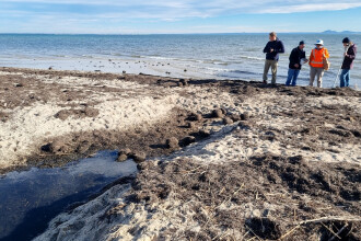 Griggs Creek, downstream view. Waterwatch team members standing on sandbar across Creek outlet into the bay.