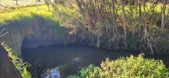 dignley drain