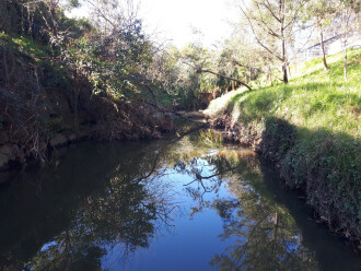 Upstream view