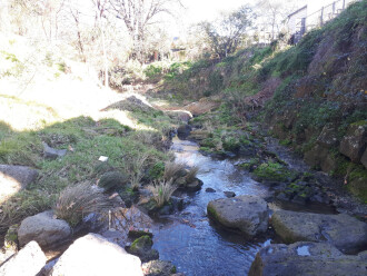 Downstream view