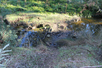 Site