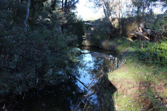 Down stream