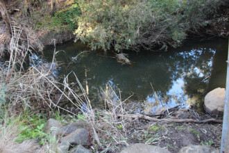 Site