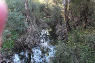Upstream