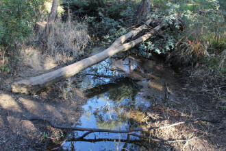 Down stream