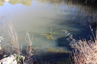 Site