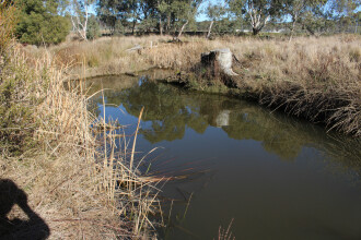 Down stream