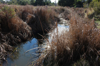Upstream
