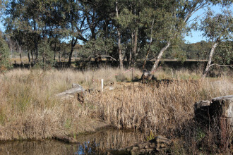 New measure gate down stream