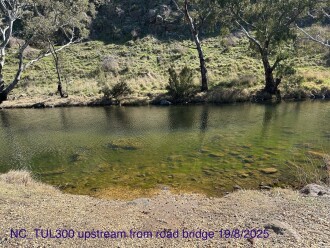 Upstream from road bridge this month.
