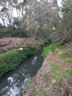 Stony Creek, Cruikshank Park Yarraville, downstream