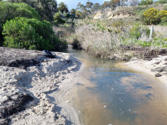 upstream from end of creek