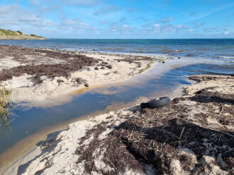 outflow into the bay