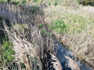 water sampling location
