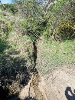 upstream view