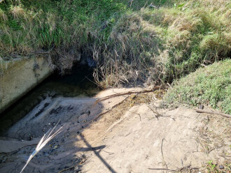 sampling site