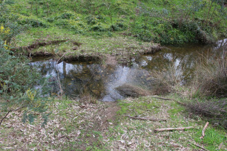 Site