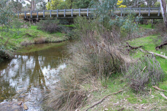 Upstream