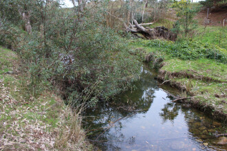 Down stream