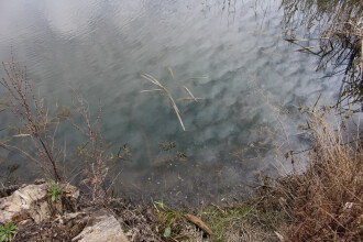 Site