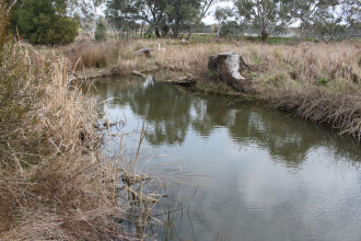 Down stream