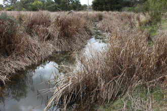 Upstream