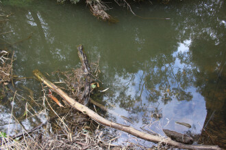 Site