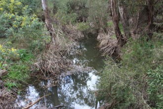 Upstream